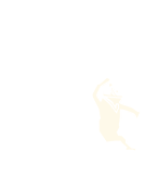 Emote Tigres do Kung Fu