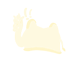 Na corcova do camelo