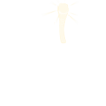 The Champion Is Here!