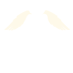 Voo Angelical