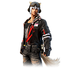 Conjunto Agente Presas