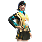 Goosy Delight Bundle