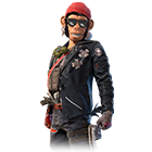 Paquete Atraco Salvaje