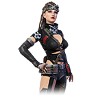 Madame Punisher Bundle