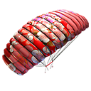 Paraquedas - Primavera