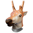 Deer Head