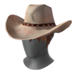 Chapéu de Cowboy