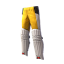 Bumblebee Cricketer
