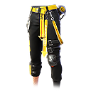 Viajera Dorada del Tiempo