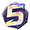 5th Anniversary Pin