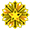 Flor de la Suerte