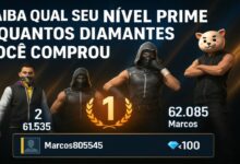 Descubra Seu Nível Prime no Free Fire e Quantos Diamantes Você Comprou_1