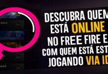imagem mostra como descobrir quem ta online via id