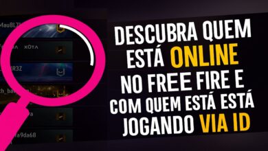 imagem mostra como descobrir quem ta online via id